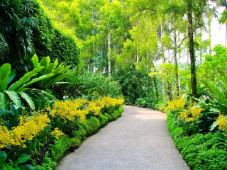 singapore, botanic gardens, walking paths wallpaper
