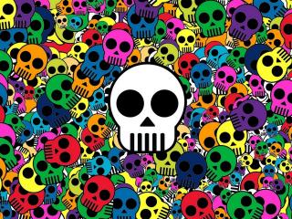 skull, background, bright wallpaper