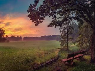 Sky, Bench And Trees Wallpaper