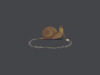 Snail Minimal wallpaper