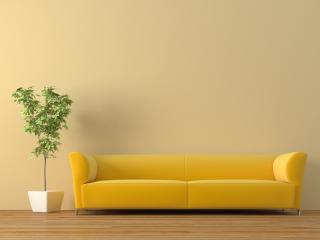 sofa, tub, plant wallpaper