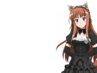 spice and wolf, girl, anime wallpaper