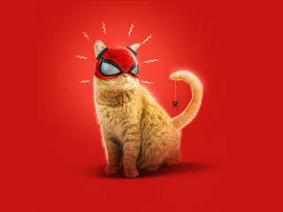 Spider Cat Spider-Man Miles Morales Art wallpaper