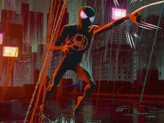Spider-Man: Across The Spider-Verse Web wallpaper