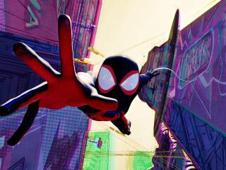 Spider-Man Caching HD Spider-Verse Movie wallpaper