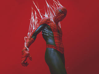 Spider-Man Got Trapped In Web wallpaper