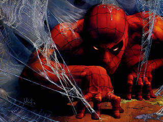 spider man, spiderman, web wallpaper