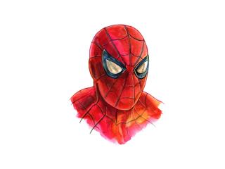 Spiderman Minimalism Artwork wallpaper