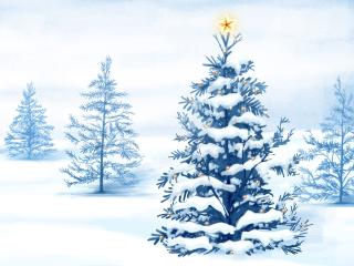 spruce, star, snow wallpaper