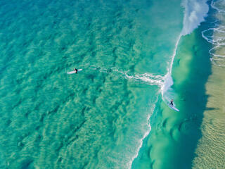 Surfers catching waves at Palm Beach Australia wallpaper