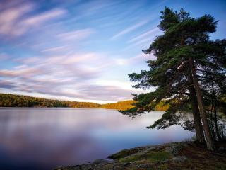 sweden, lakes, trees wallpaper
