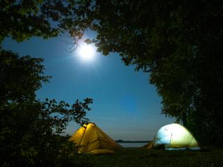 tents, camping, trees Wallpaper