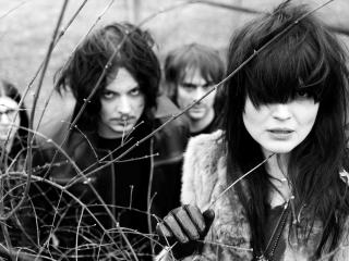 the dead weather, band, girl Wallpaper