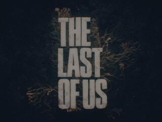The Last of Us 2023 Intro Logo wallpaper