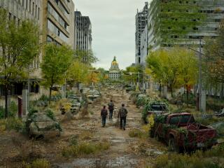 The Last of Us City 2023 wallpaper