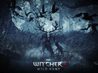 the witcher 3 wild hunt, final part, pc Wallpaper