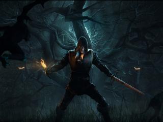 the witcher 3, wild hunt, forest wallpaper