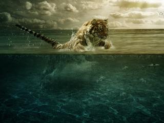 tiger, jump, sea wallpaper