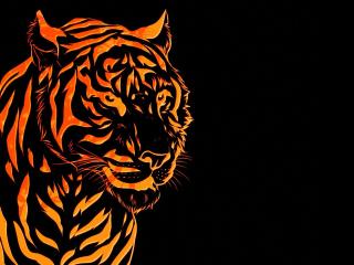 tiger, line, graph wallpaper