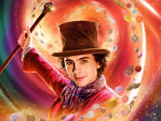 Timothée Chalamet Wonka Movie wallpaper