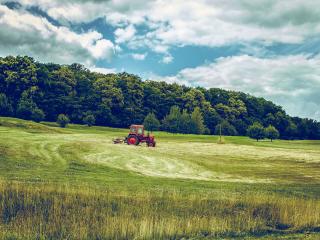 tractor, field, grass Wallpaper
