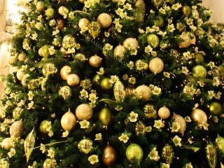 tree christmas decorations, gold, new year Wallpaper
