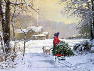 tree, sleigh, winter wallpaper
