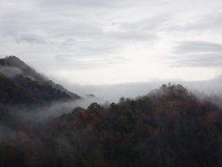 trees, fog, mountains wallpaper