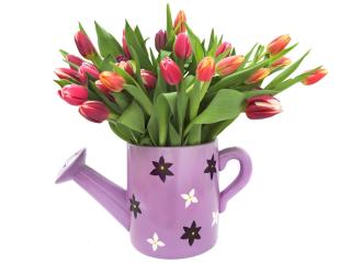 tulips, flowers, bouquets wallpaper