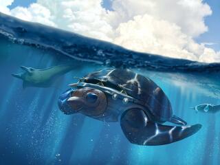 Turtle Ship HD Submarine wallpaper