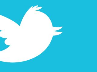 twitter, logo, bird wallpaper