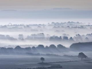 valley, fog, trees wallpaper