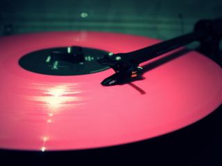 vinyl, record, pink wallpaper