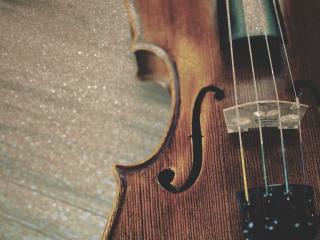 violin, strings, wooden wallpaper