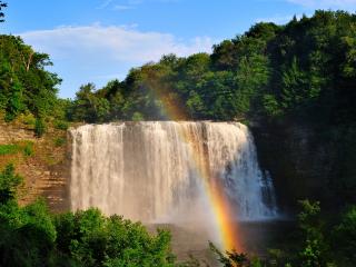 waterfall, rainbow, trees wallpaper