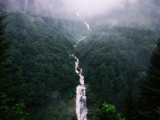 waterfall, trees, fog Wallpaper