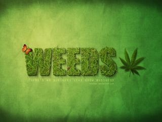 weeds, mary-louise parker, hunter parrish wallpaper