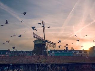 windmill, birds, buildings Wallpaper