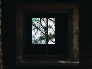 window, branches, wooden Wallpaper