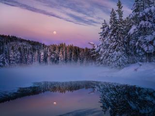 Winter Fog, Snow, Trees And Lake Wallpaper