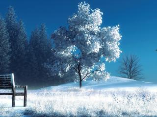winter, landscape, nature wallpaper