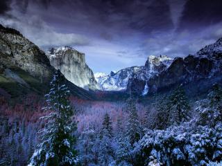 Winter Mountains And Trees Wallpaper