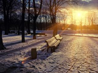 winter, park, sunset wallpaper