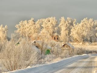 winter, road, snow wallpaper