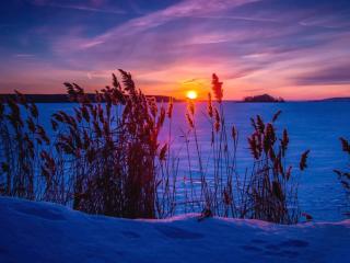 winter, sunset, snow wallpaper