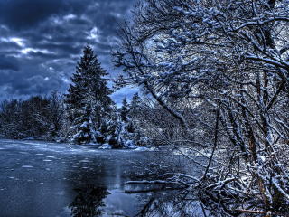 winter, trees, river wallpaper