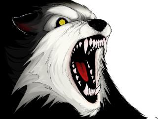 wolf, aggression, teeth wallpaper