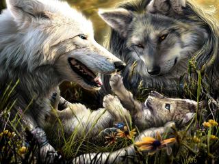 wolves, family, birth Wallpaper