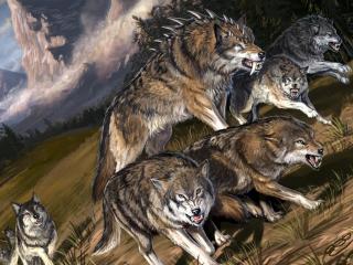 wolves, flight, leader Wallpaper