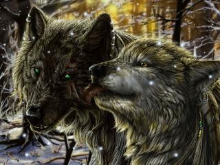 wolves, pair, tenderness Wallpaper